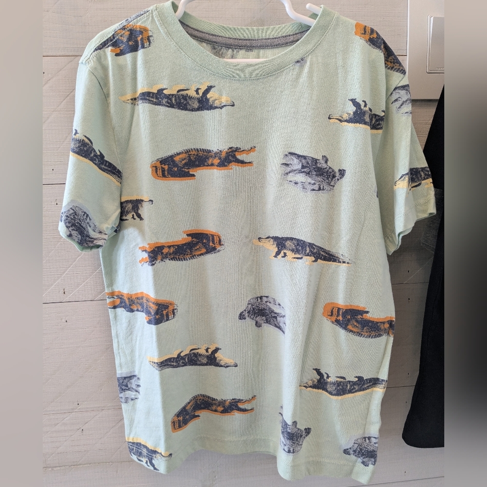 4️⃣ FOUR Old Navy Boy's Graphic T-Shirts - Gray, Green, & Black - Picture 7 of 10